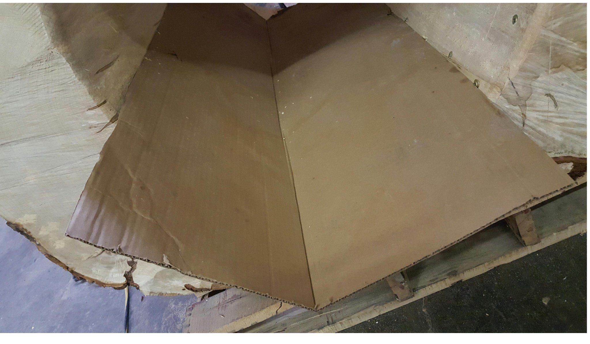 Cardboard wedged into the crack from the inside of the hollow log — creates a backing surface so expanding foam does not blow through into the interior